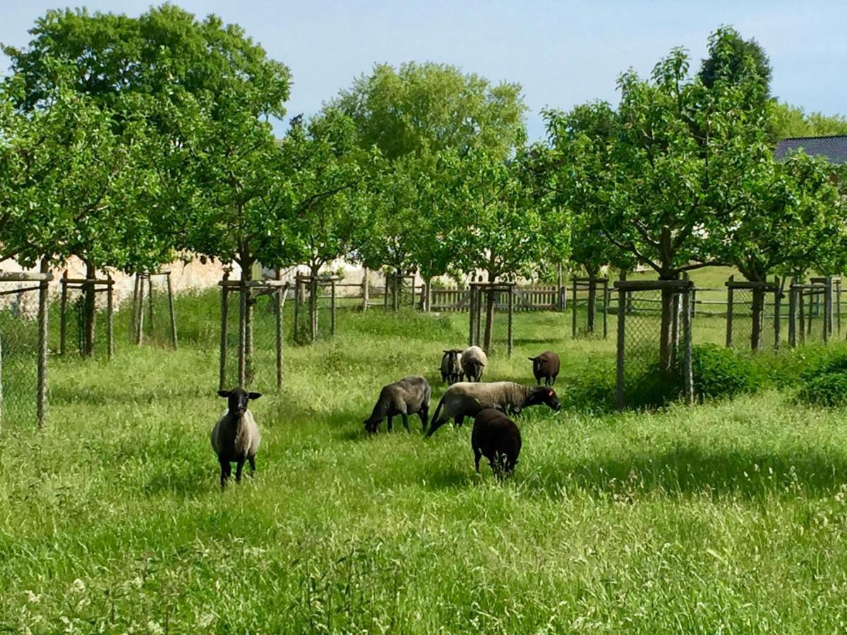 Am Nationalpark * Schwedt/Oder